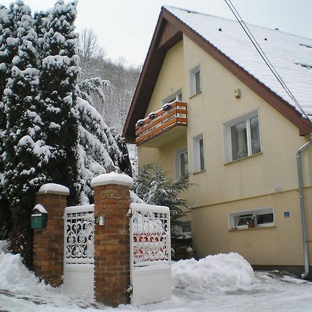 Villa Harmonia Panzio Visegrad Ngoại thất bức ảnh