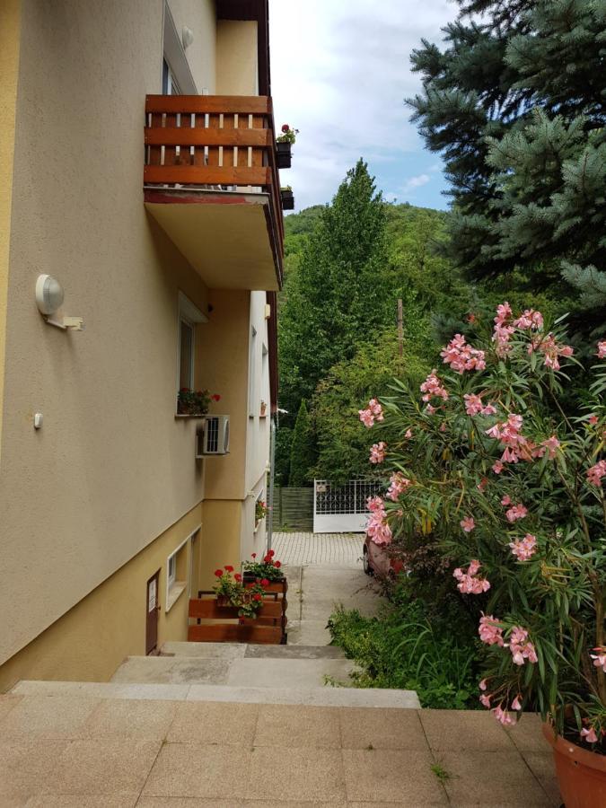 Villa Harmonia Panzio Visegrad Ngoại thất bức ảnh
